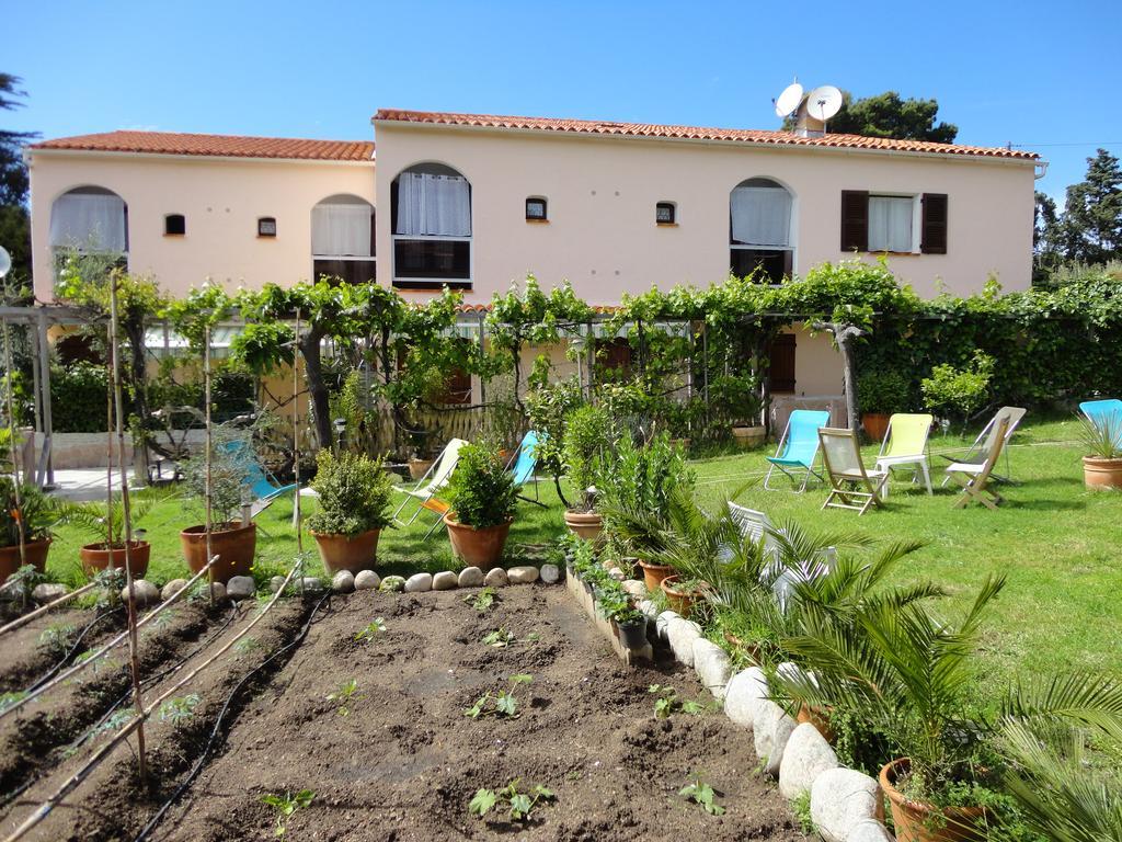 Hotel Punta E Mare Des Chambres Ou Des Appartements T2 Cargèse Стая снимка